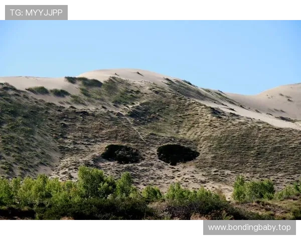微笑刺客：历史前十球员中四位曾在比赛中输给我的传奇故事